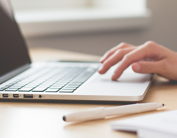 快速的寻猎反应